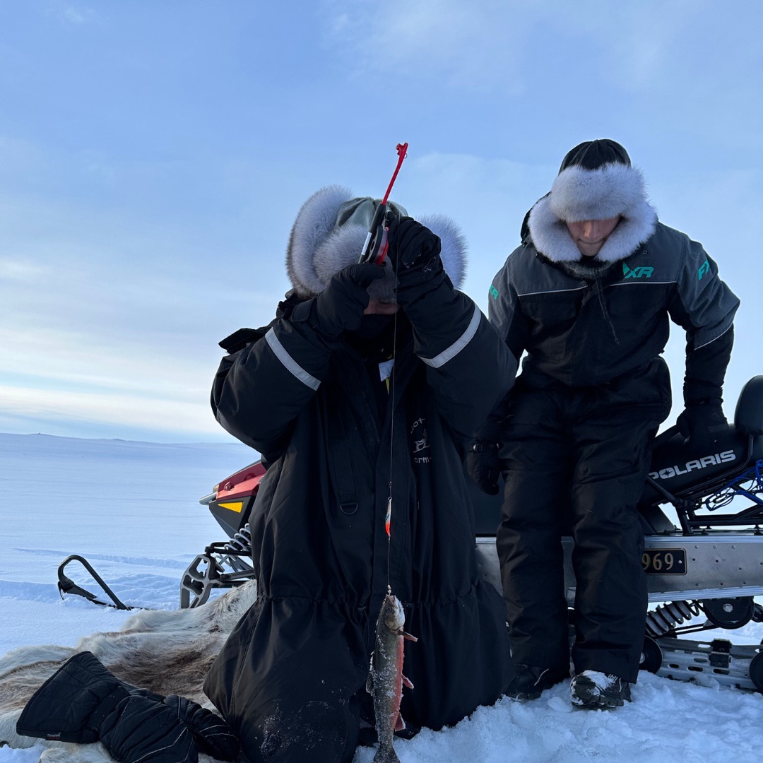 Skinnluer på isfiske
